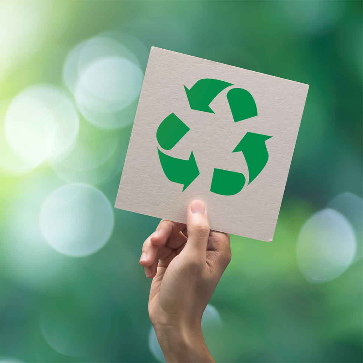 The Conscious Carry: Ethical Sourcing and Traceability in the Bag Industry