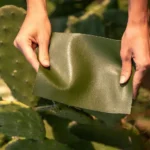 Beyond Leather: Exploring Innovative and Sustainable Materials Shaping the Future of Bags
