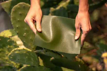 Beyond Leather: Exploring Innovative and Sustainable Materials Shaping the Future of Bags